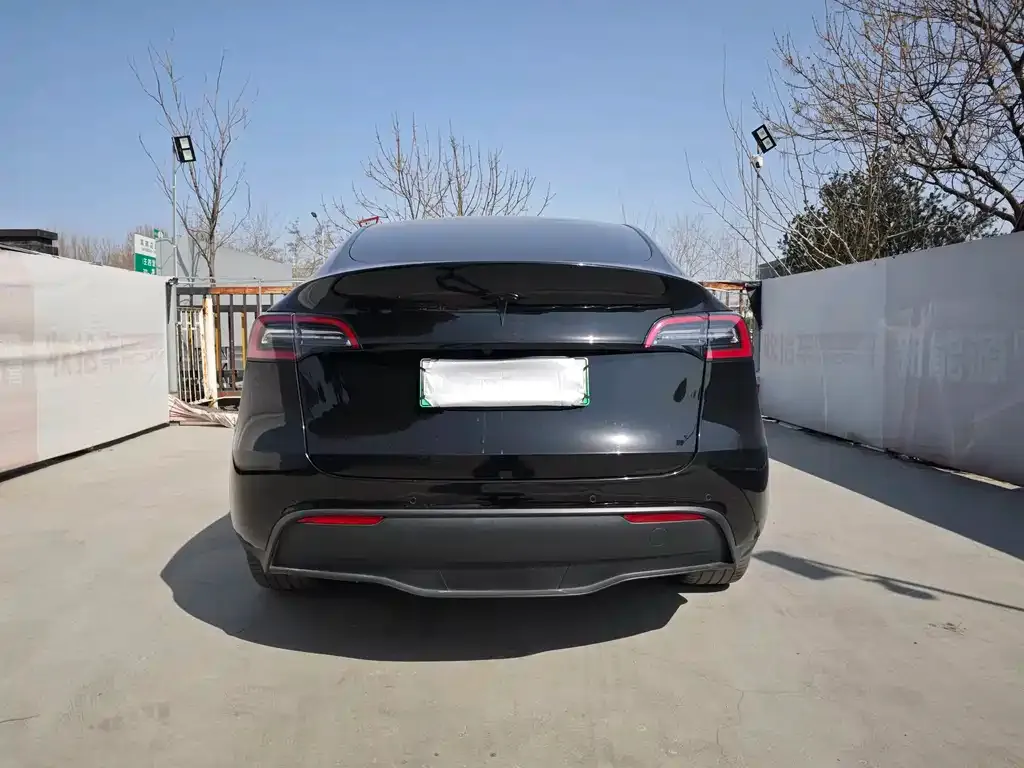 Tesla Model Y — фото 10
