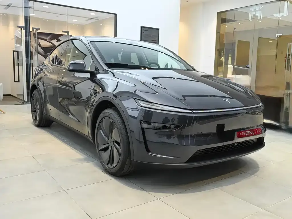 Tesla Model Y — фото 9