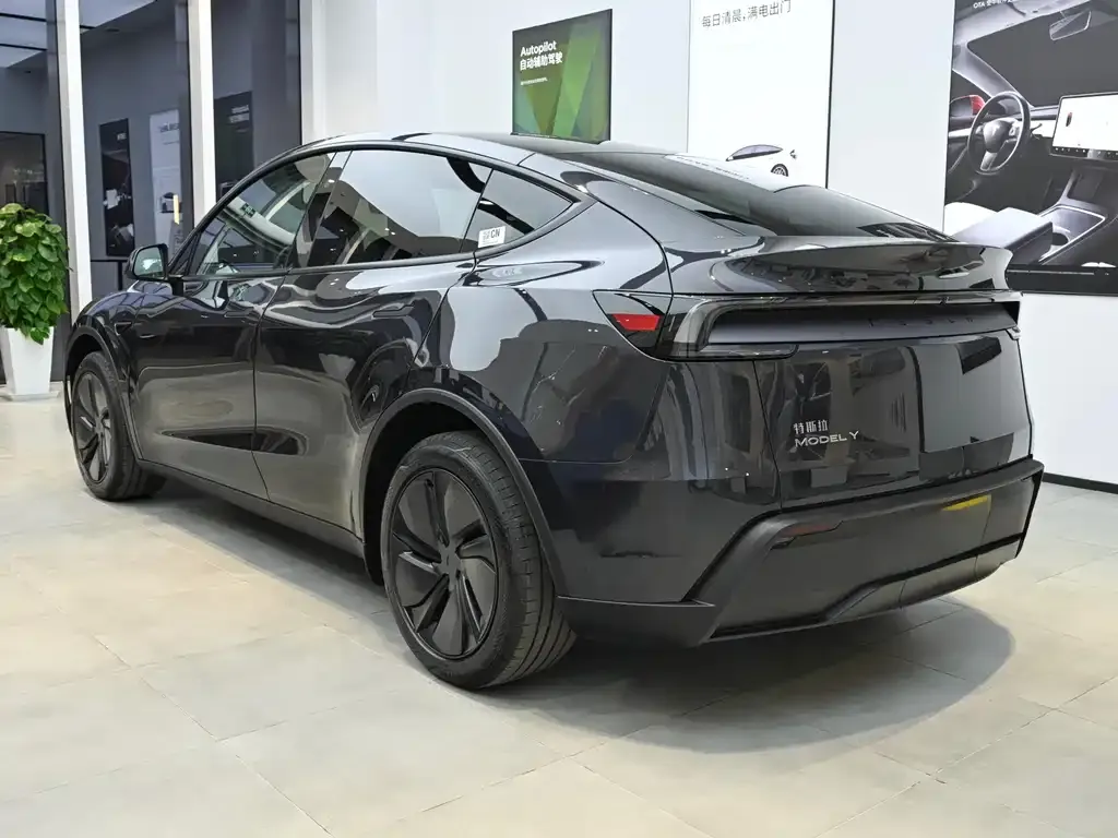 Tesla Model Y — фото 8