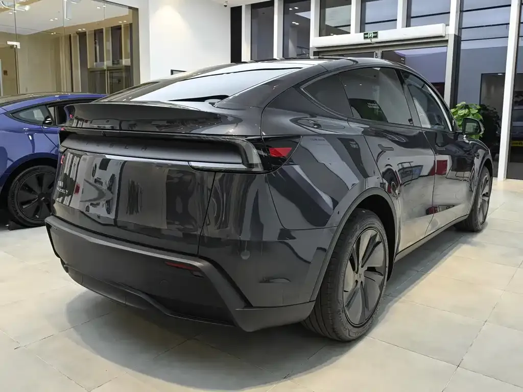 Tesla Model Y — фото 10