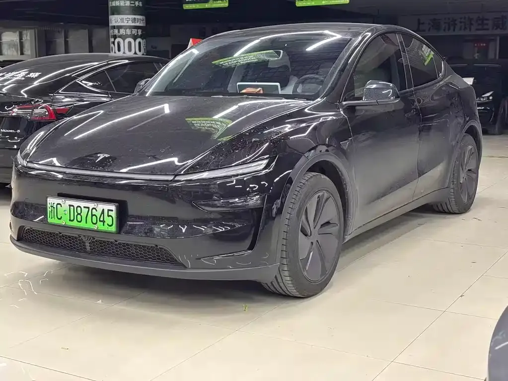 Tesla Model Y — фото 1