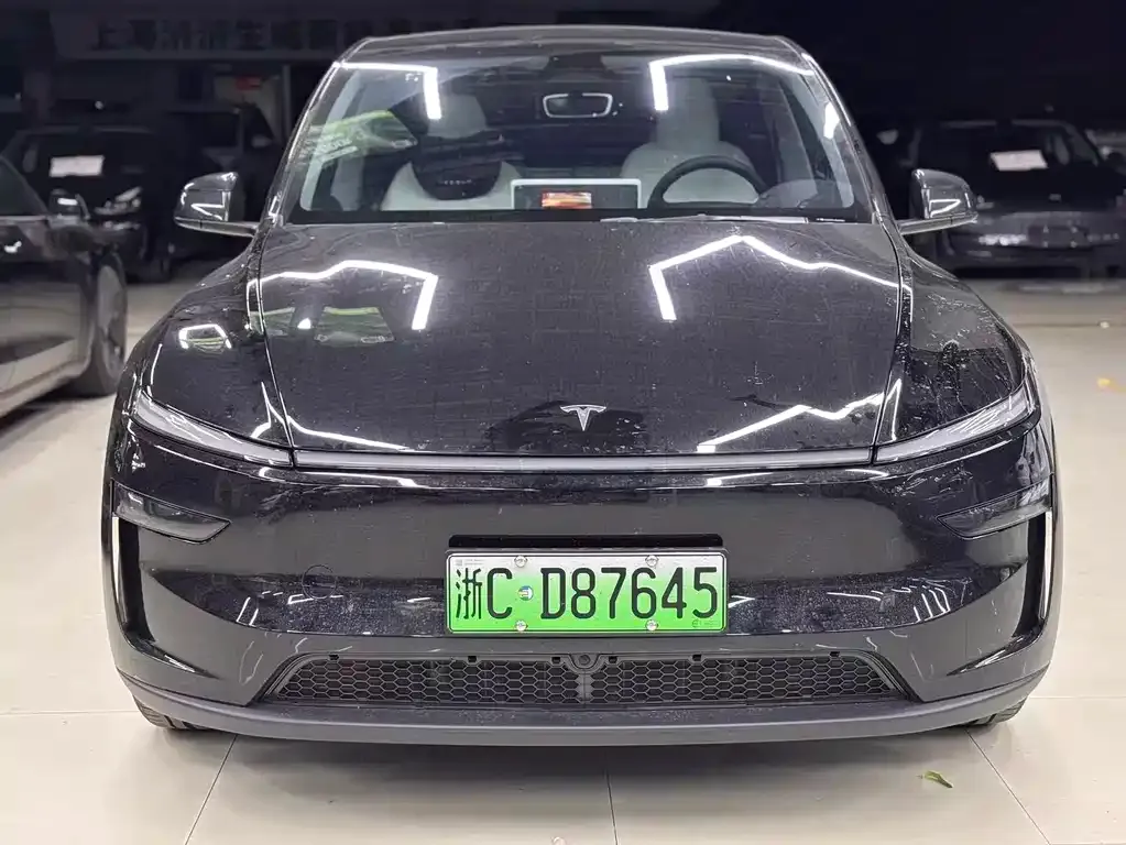 Tesla Model Y — фото 9