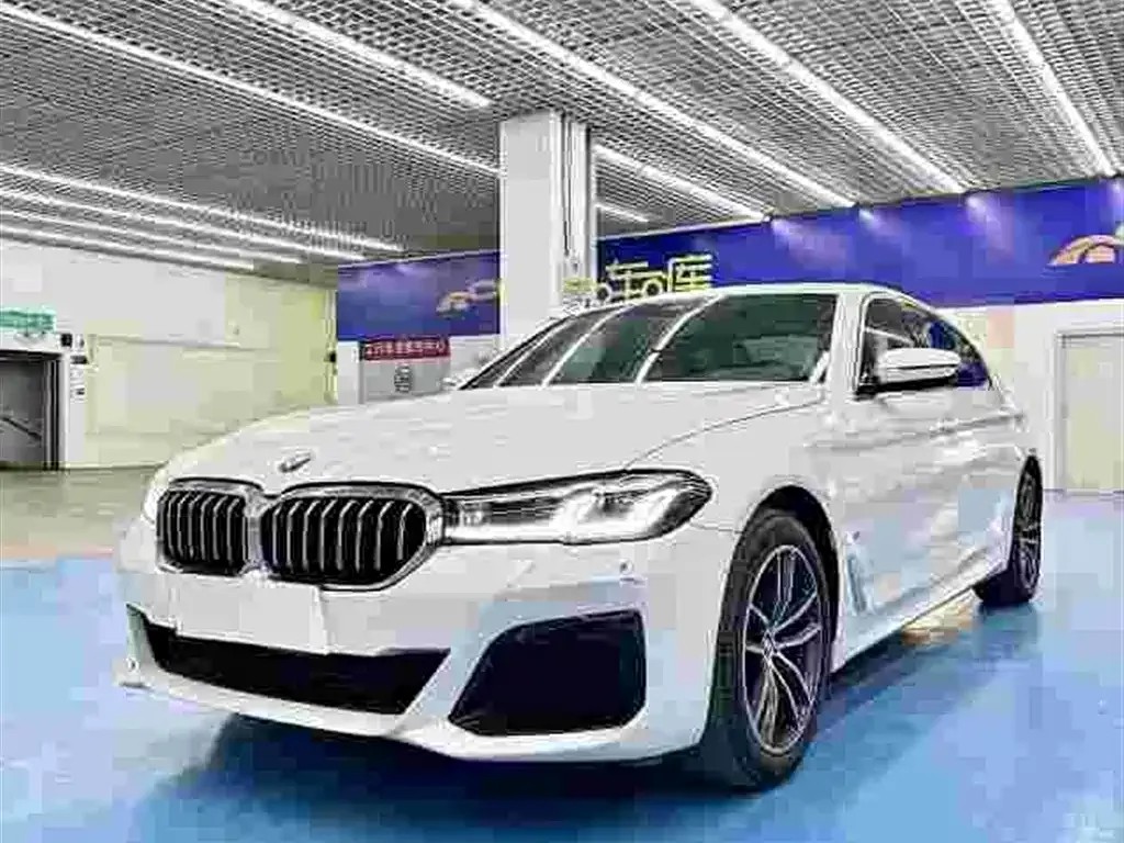 BMW 5 Series 2022 из CN, фото 1