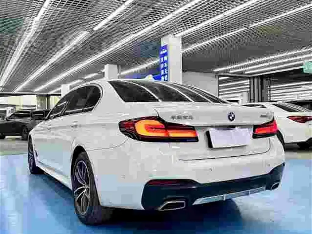 BMW 5 Series 2022 из CN, фото 3