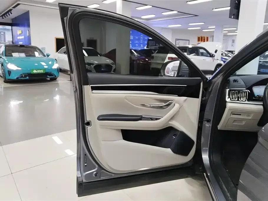 BYD PLUS New Energy — фото 10
