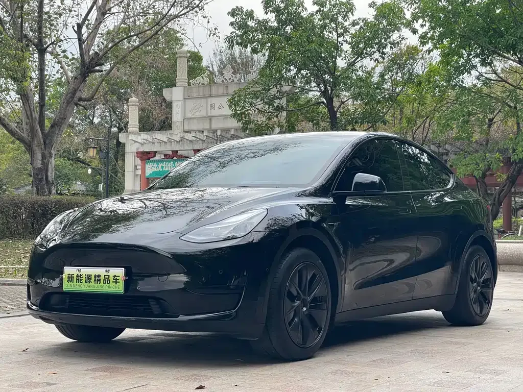 Tesla Model Y — фото 1
