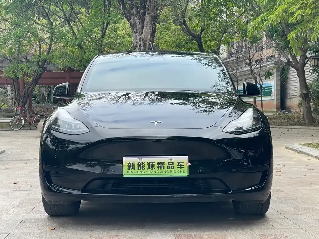 Tesla Model Y — фото 4