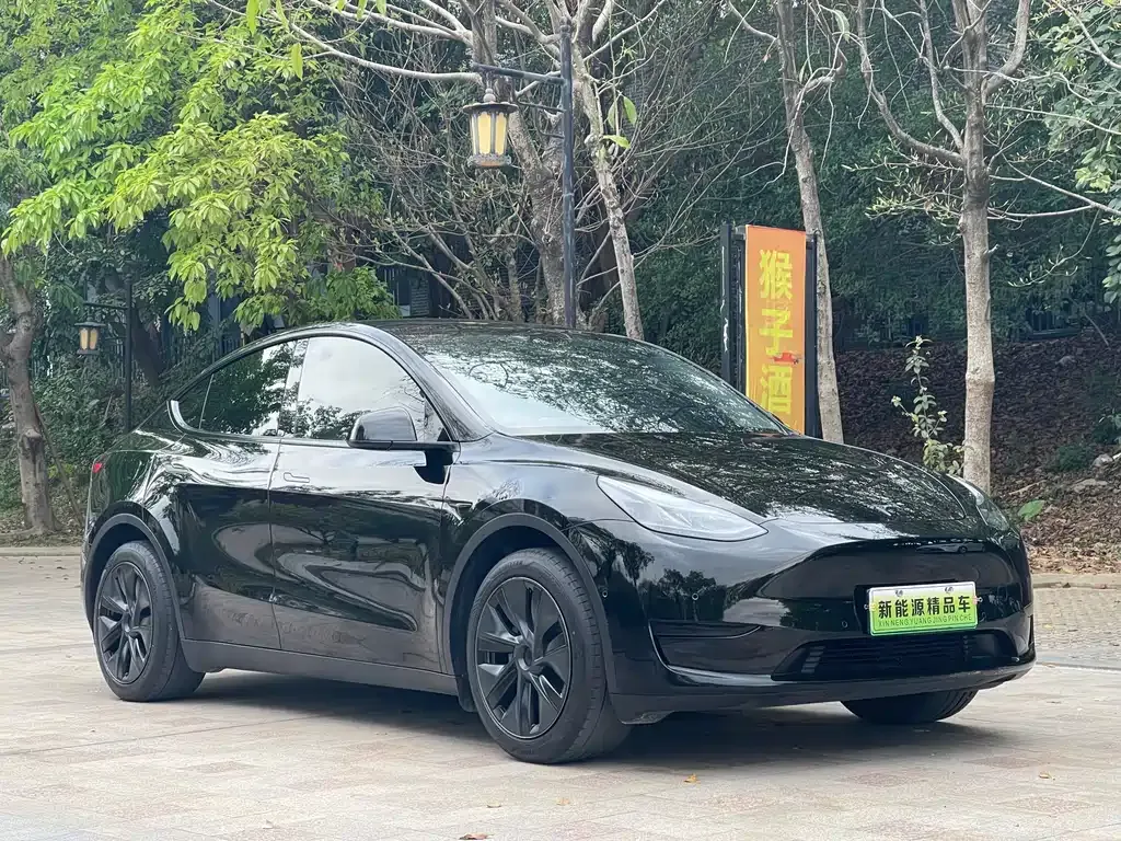 Tesla Model Y — фото 9
