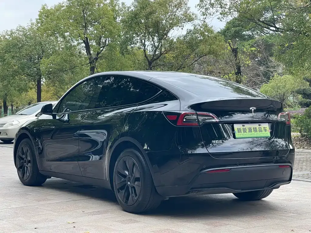 Tesla Model Y — фото 8