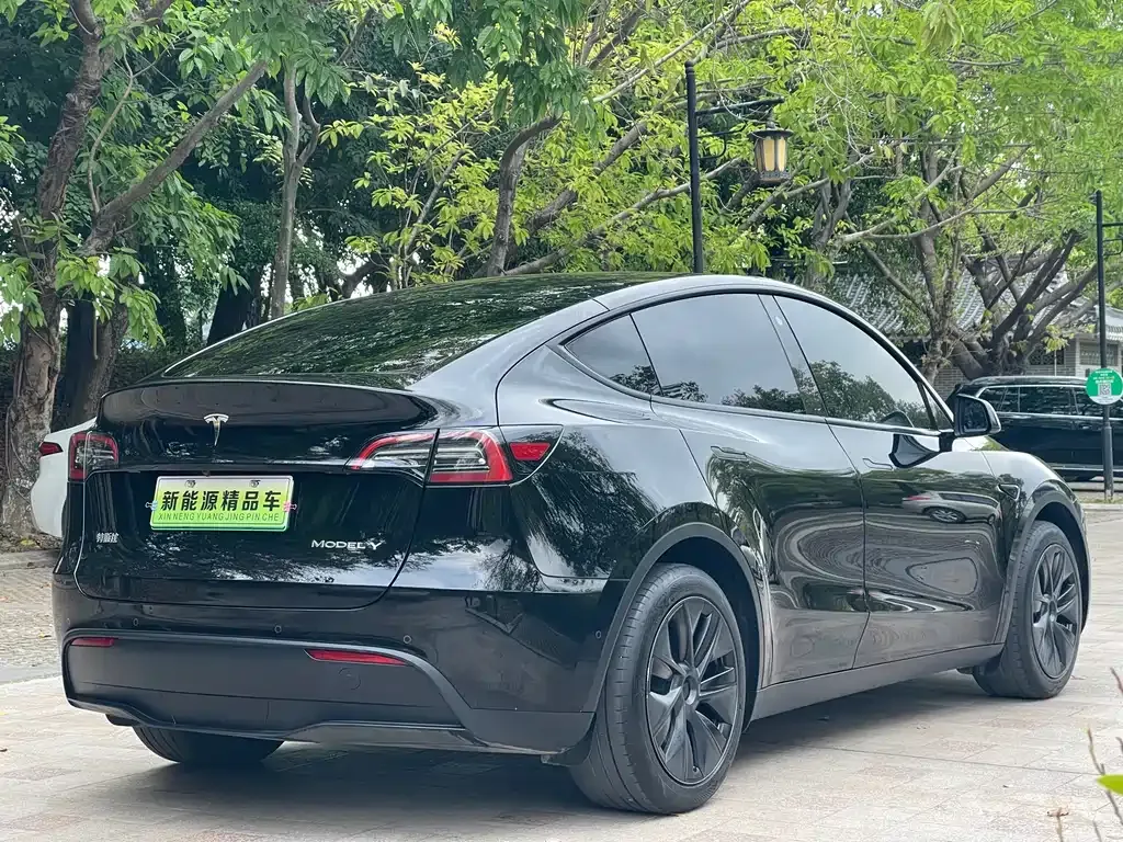 Tesla Model Y — фото 6