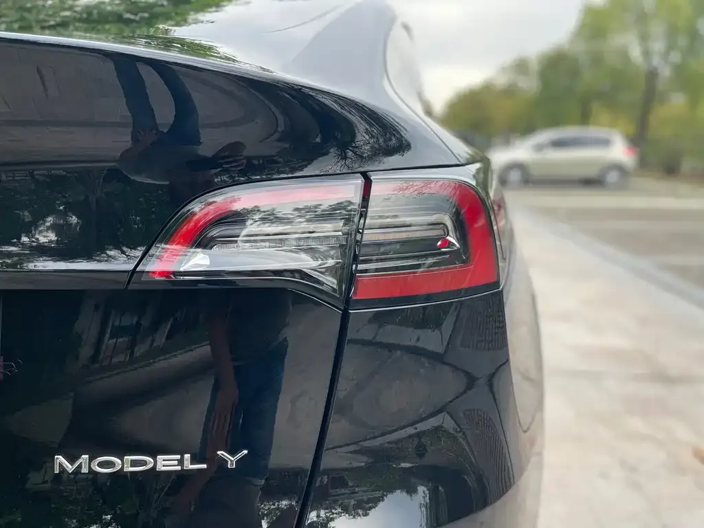 Tesla Model Y — фото 3