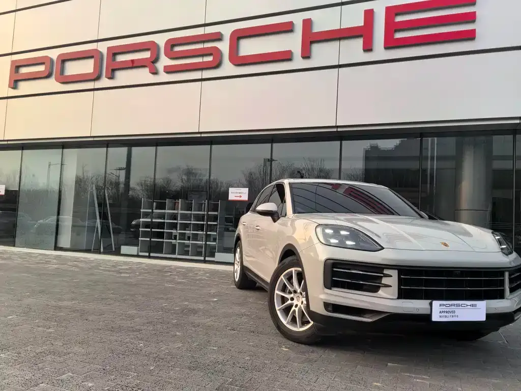 Porsche Cayenne — фото 7