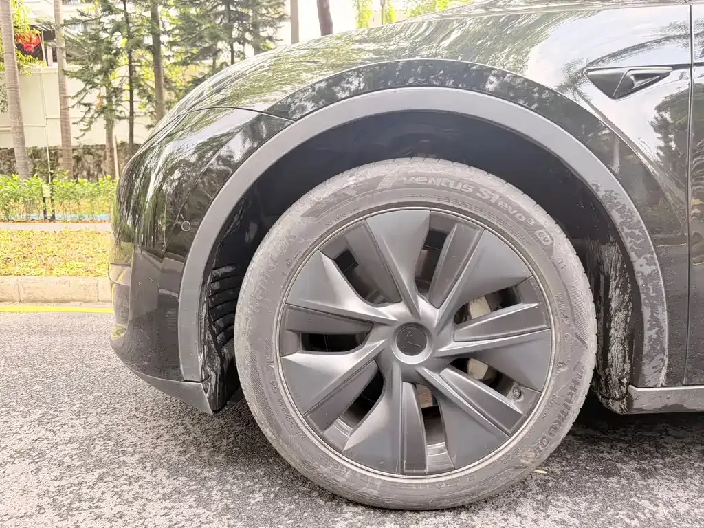 Tesla Model Y 2023 из CN, фото 6