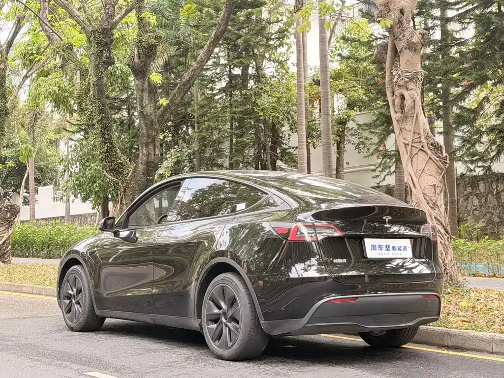 Tesla Model Y 2023 из CN, фото 9