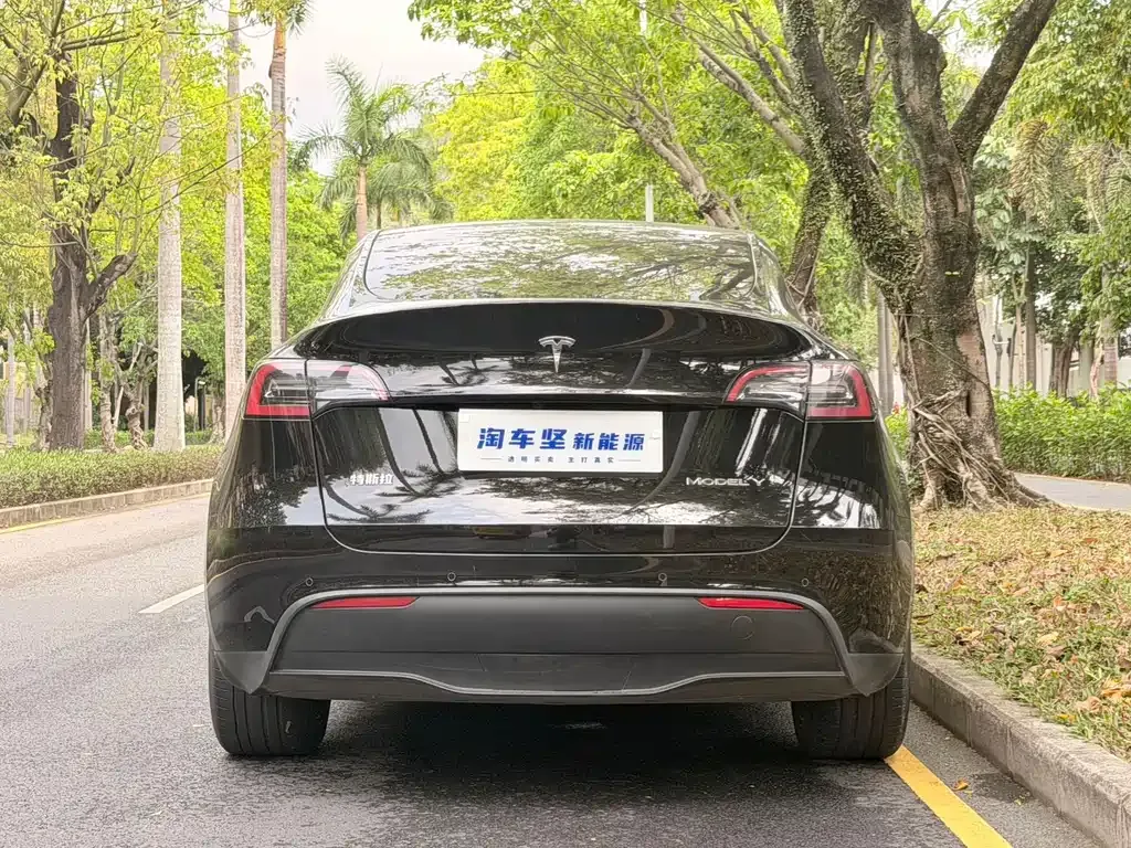 Tesla Model Y 2023 из CN, фото 10