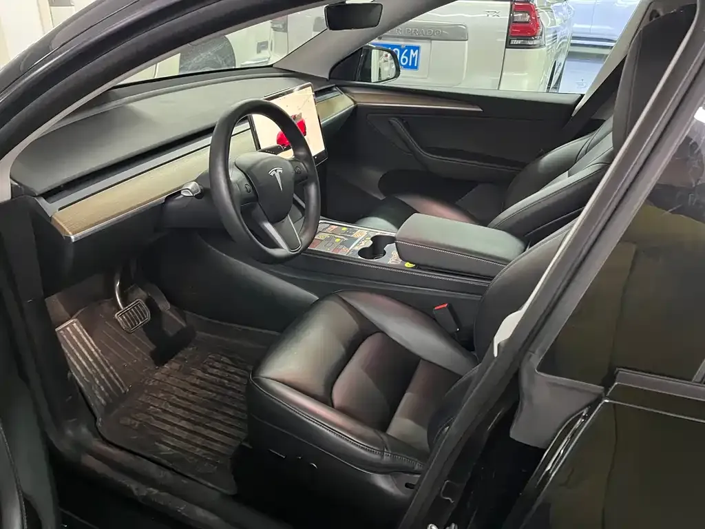 Tesla Model Y — фото 10
