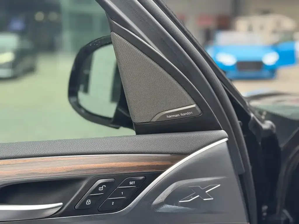 BMW X3 2021 из CN, фото 9