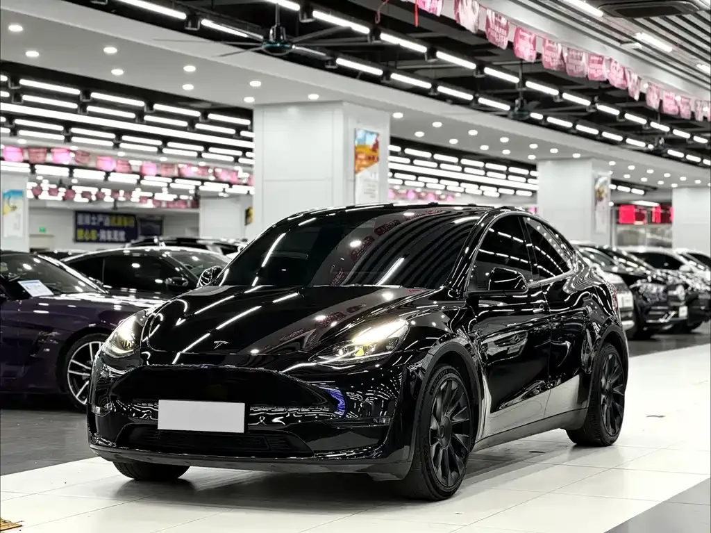 Tesla Model Y — фото 1