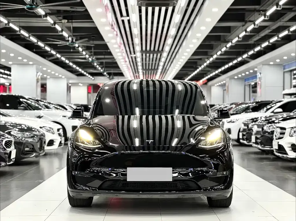 Tesla Model Y — фото 6