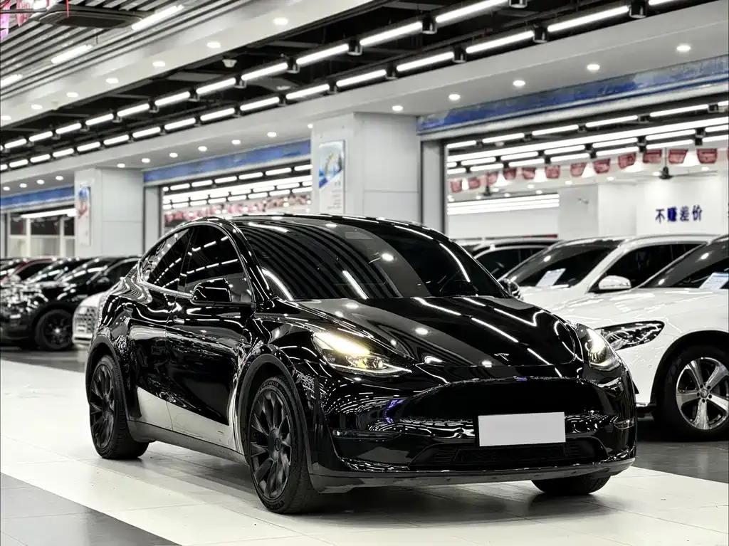 Tesla Model Y — фото 9