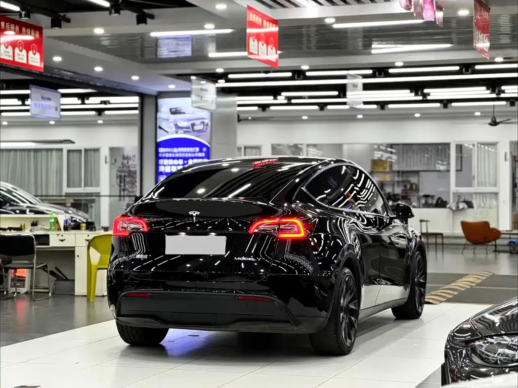 Tesla Model Y — фото 8