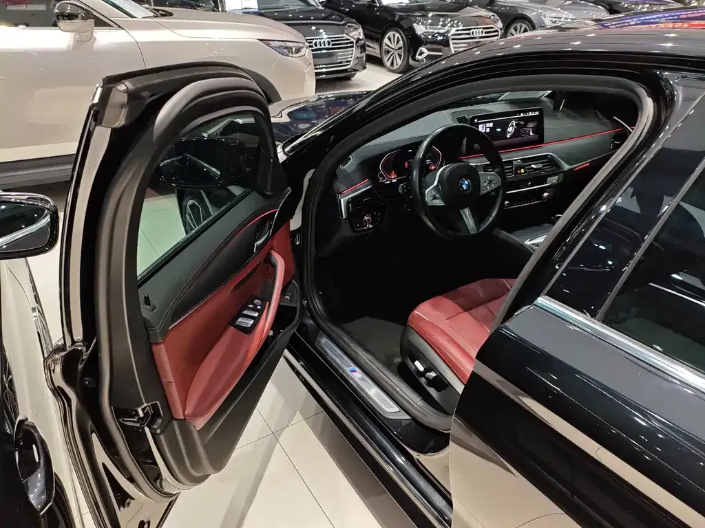 BMW 5 Series 2023 из CN, фото 4