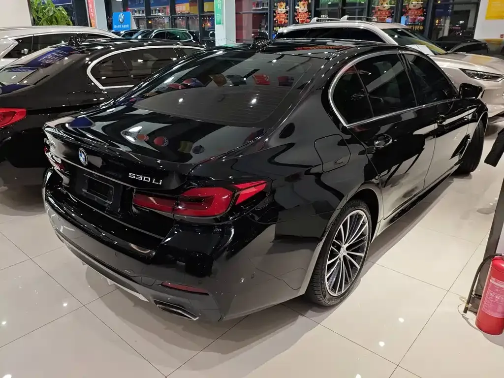 BMW 5 Series 2023 из CN, фото 5