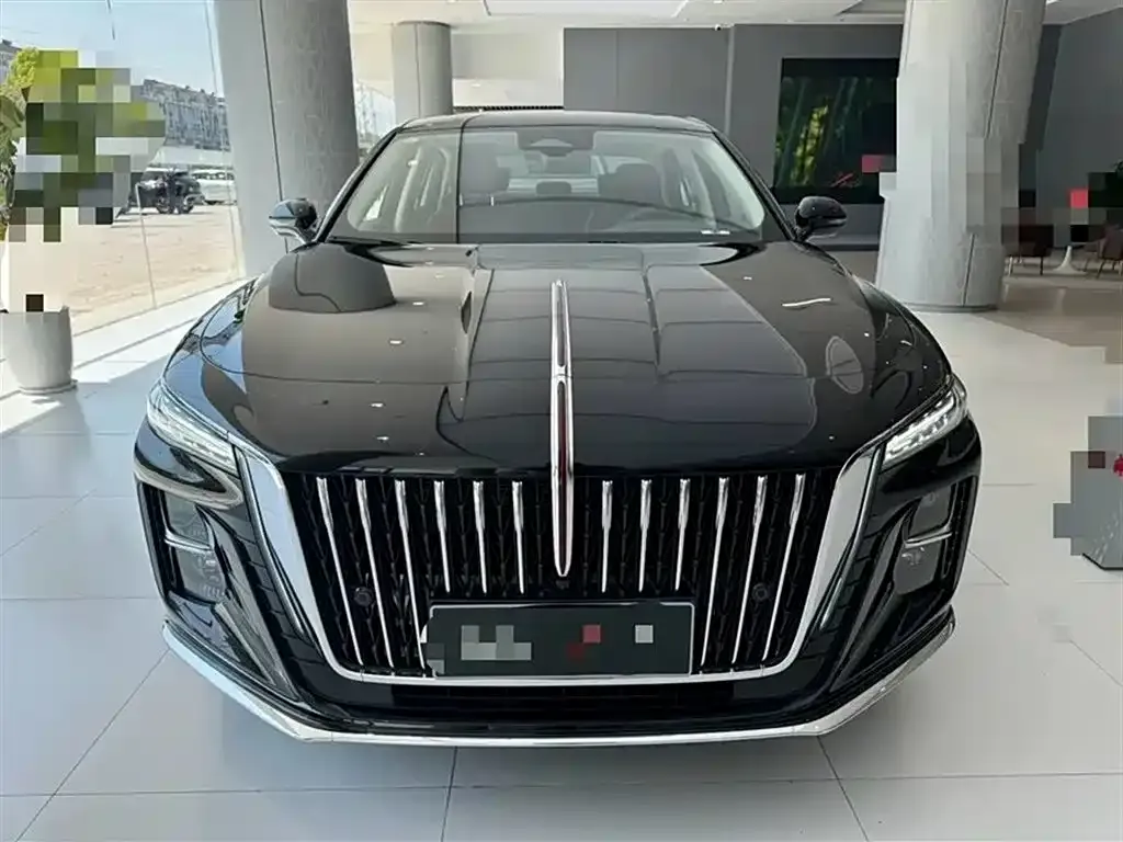 Hongqi H5 2023 из CN, фото 2