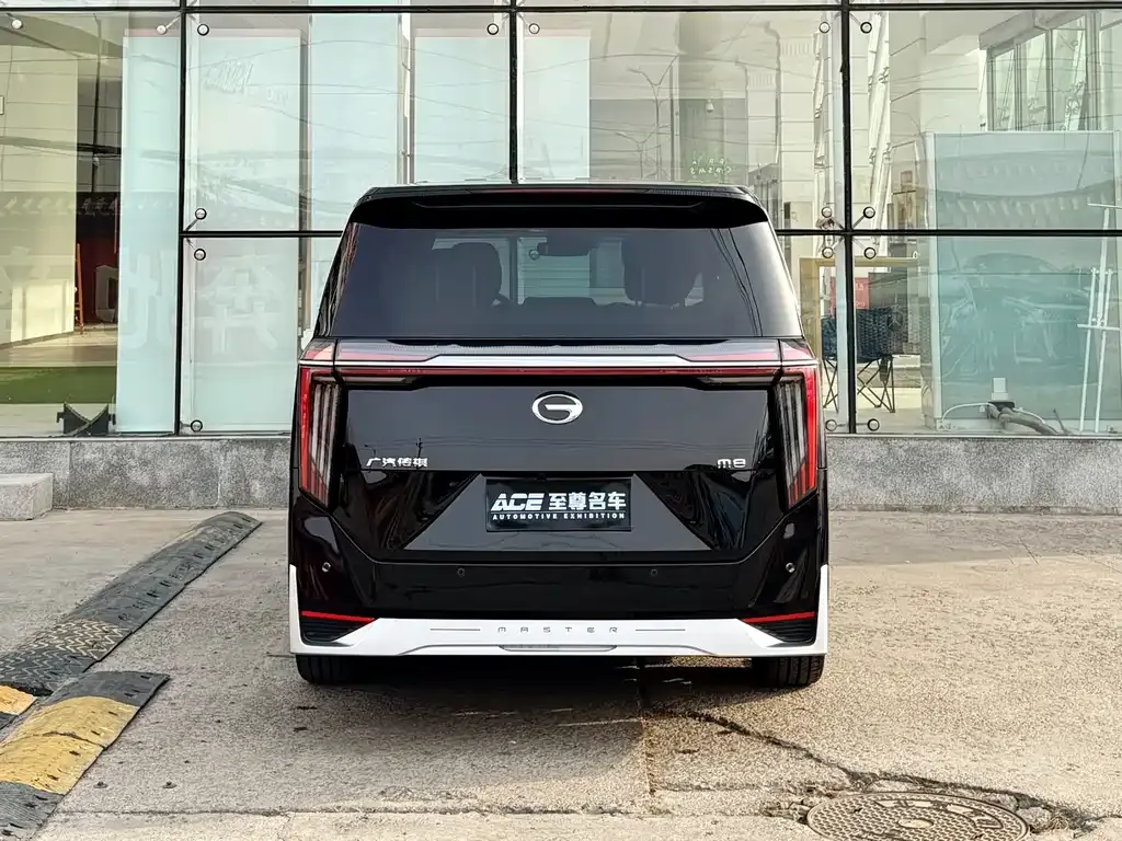 GAC Motor Trumpchi M8 2024 из CN, фото 4