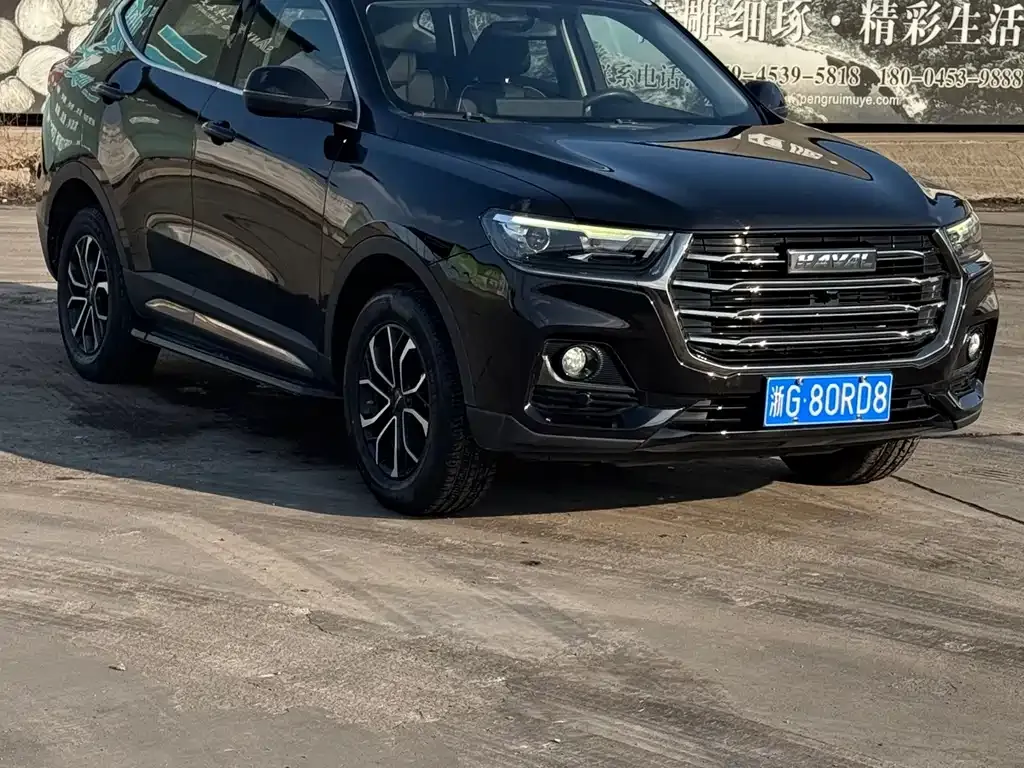 Haval H6 — фото 8