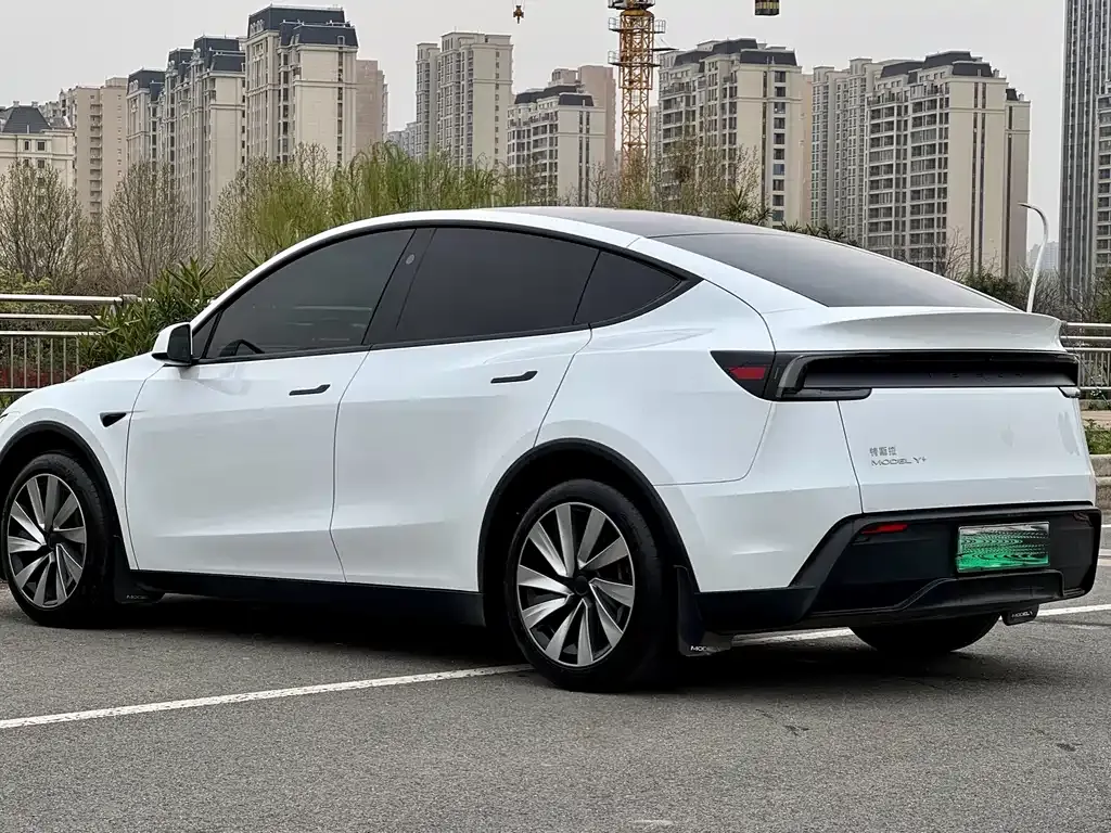 Tesla Model Y — фото 10
