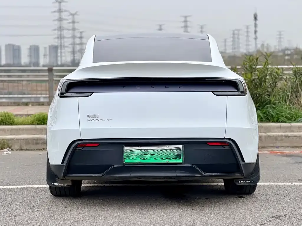 Tesla Model Y — фото 9