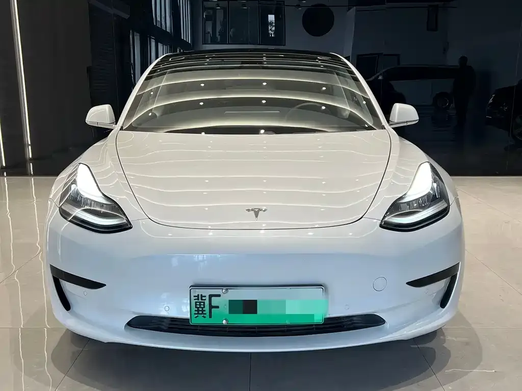 Tesla Model 3 2021 из CN, фото 4