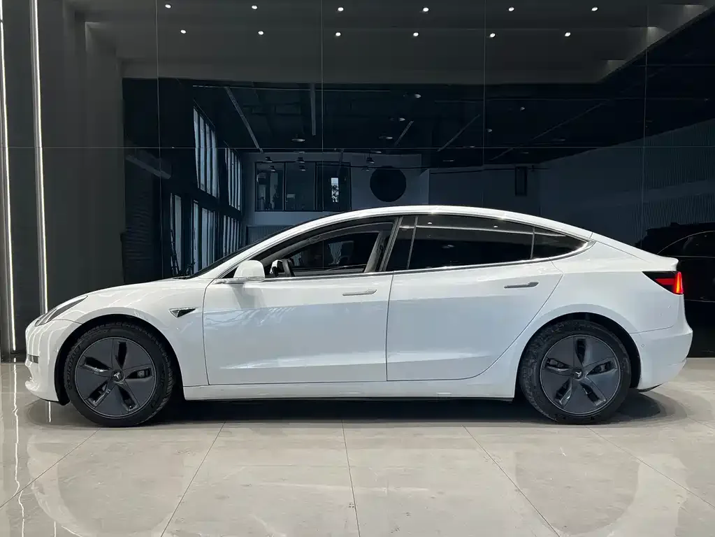 Tesla Model 3 2021 из CN, фото 2