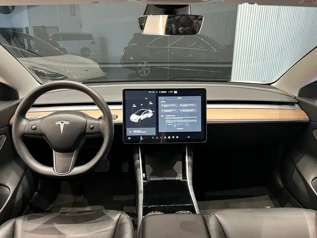 Tesla Model 3 2021 из CN, фото 8