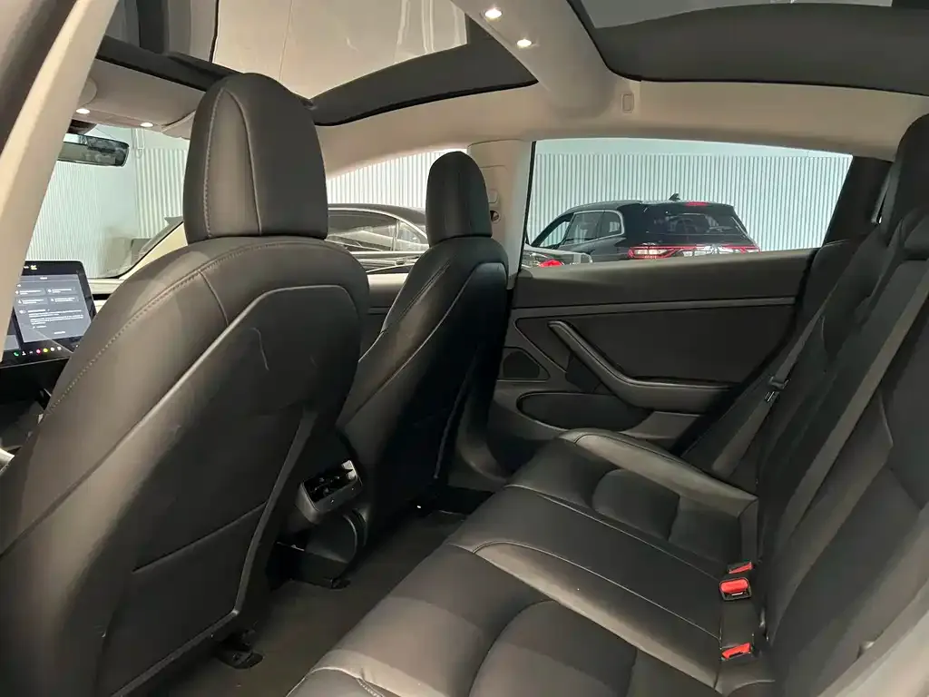 Tesla Model 3 2021 из CN, фото 6