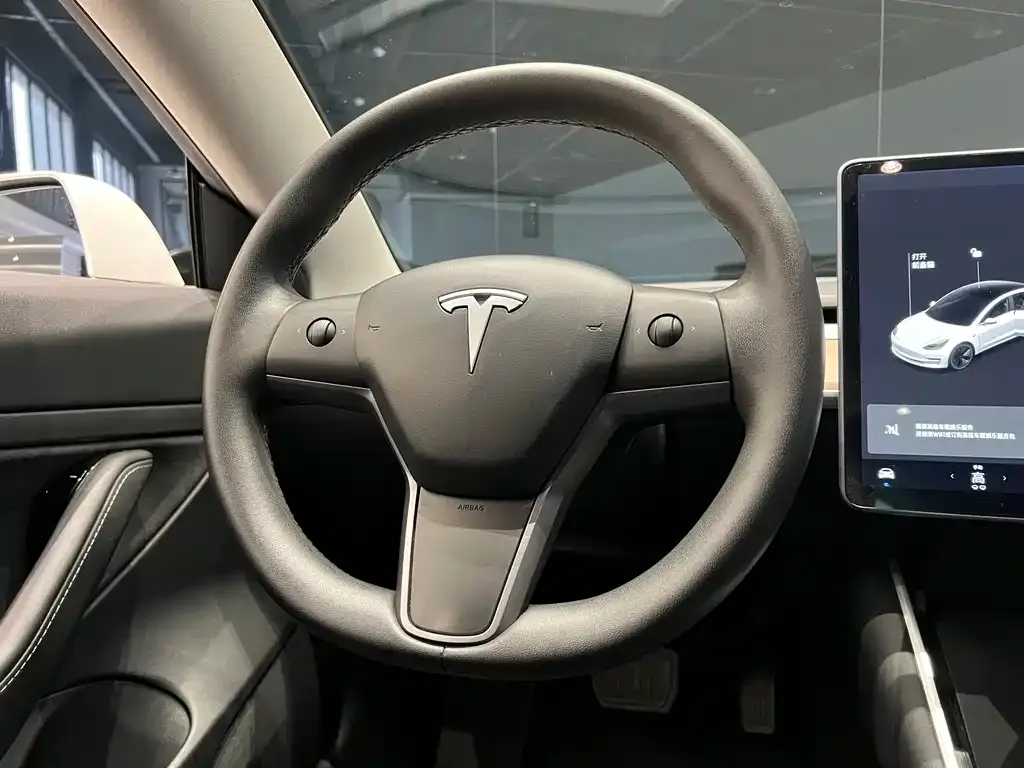 Tesla Model 3 2021 из CN, фото 9