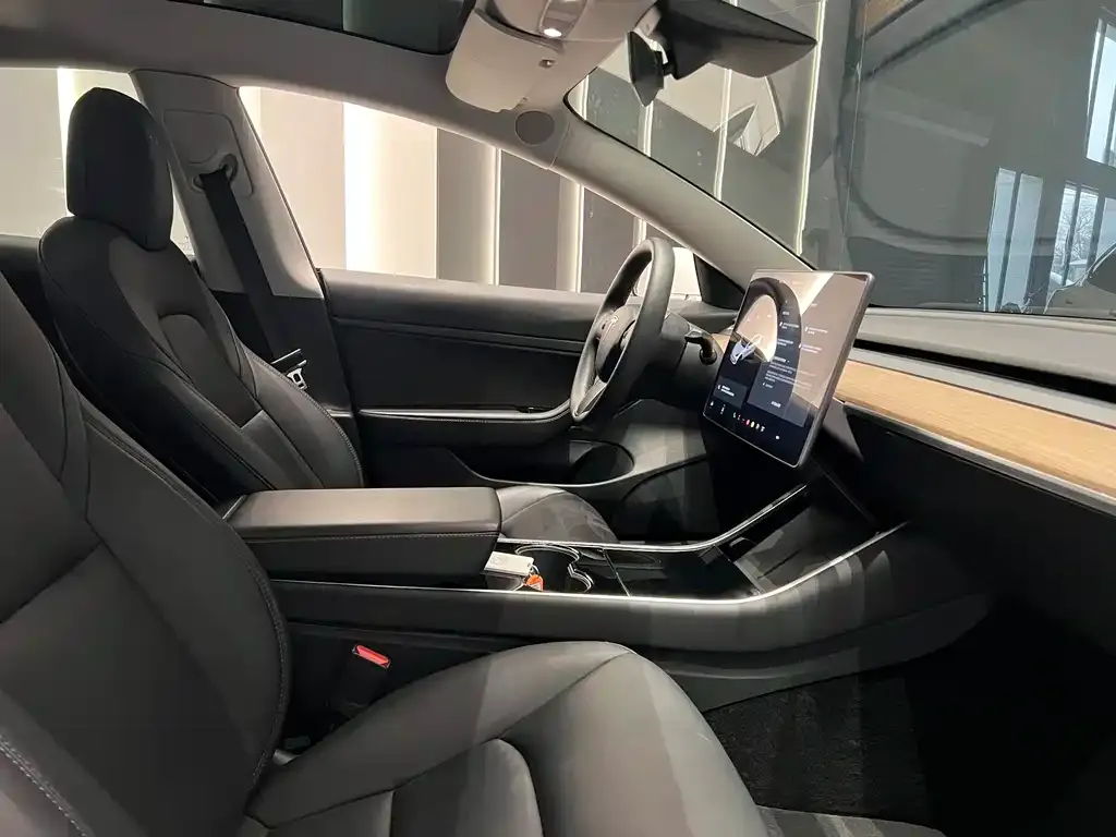 Tesla Model 3 2021 из CN, фото 7