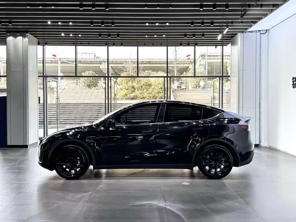 Tesla Model Y — фото 9