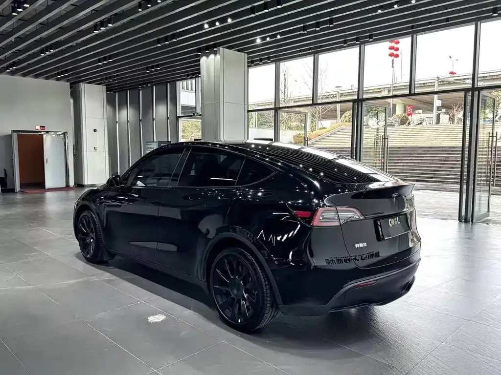 Tesla Model Y — фото 8