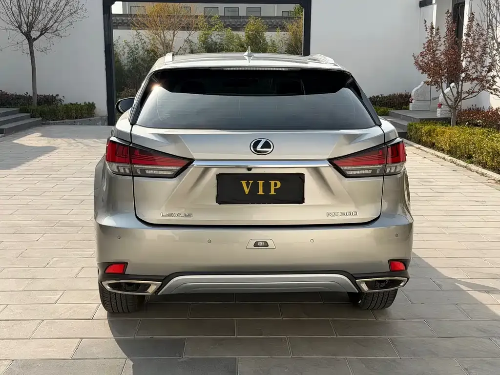 Lexus RX — фото 5