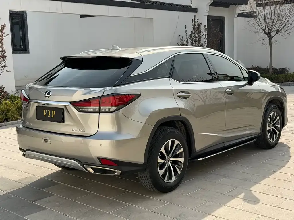Lexus RX — фото 6