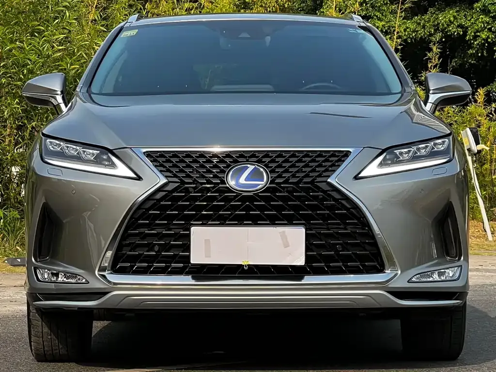Lexus RX 2021 из CN, фото 3