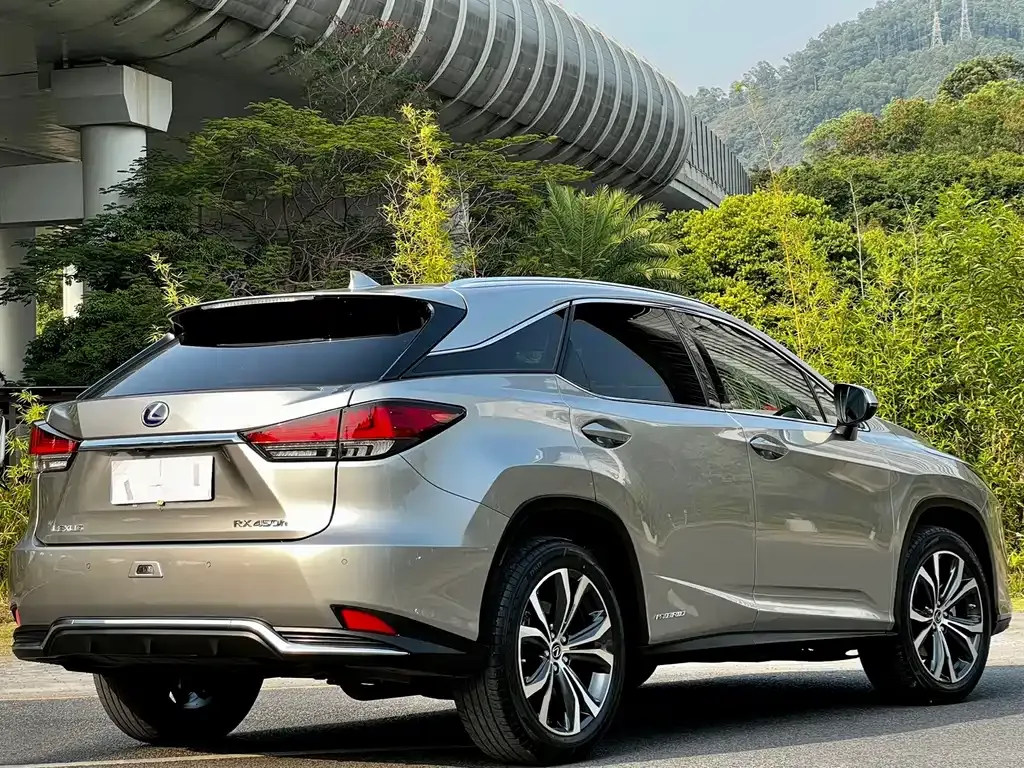 Lexus RX 2021 из CN, фото 10