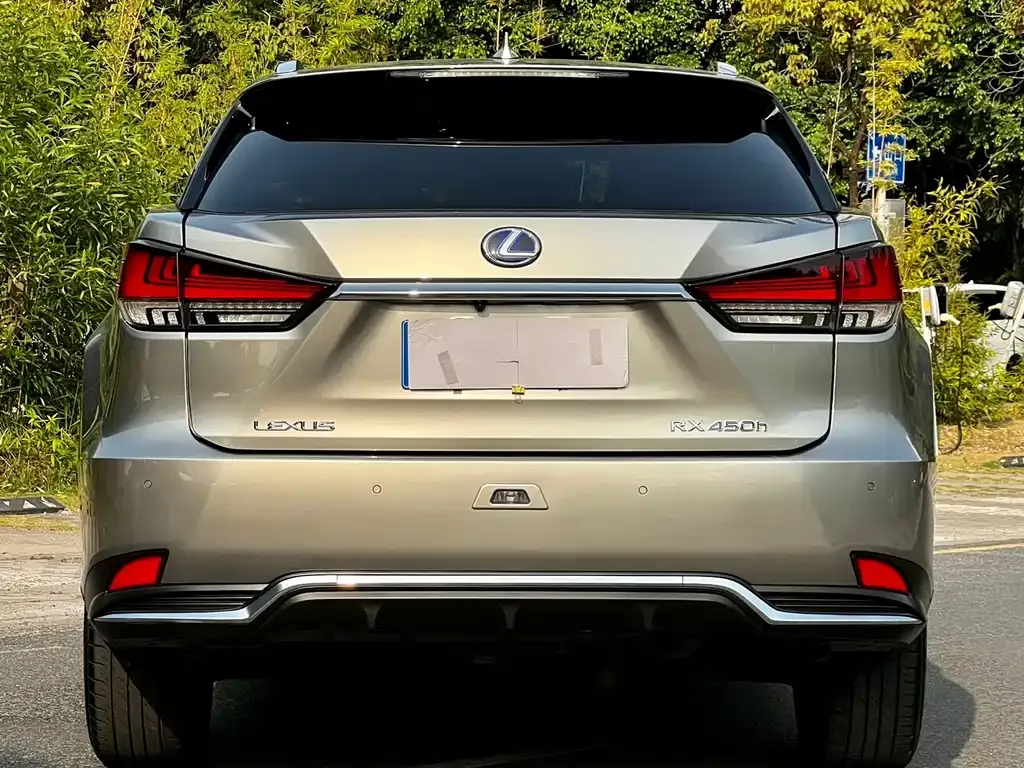 Lexus RX 2021 из CN, фото 4