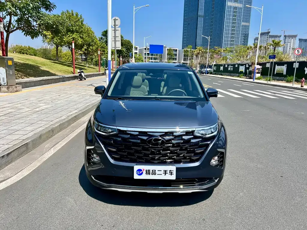 Hyundai Custo — фото 8