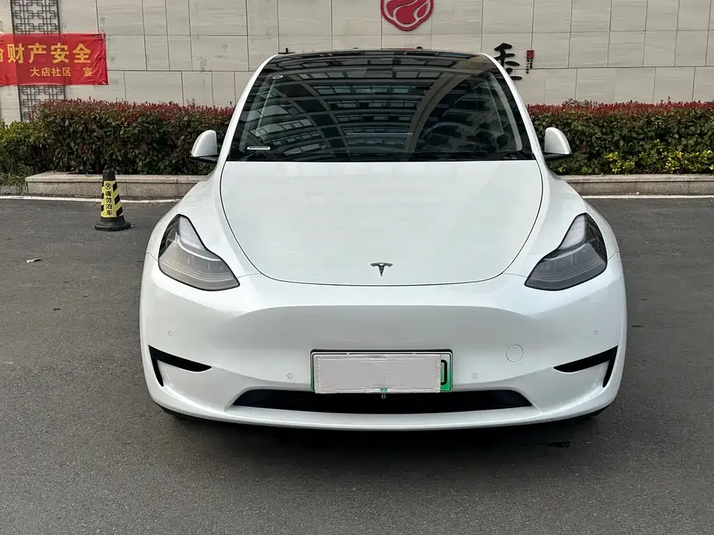 Tesla Model Y — фото 2