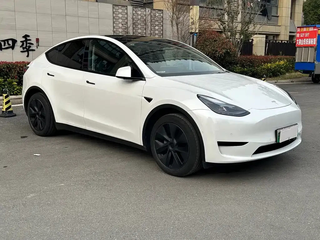 Tesla Model Y — фото 10