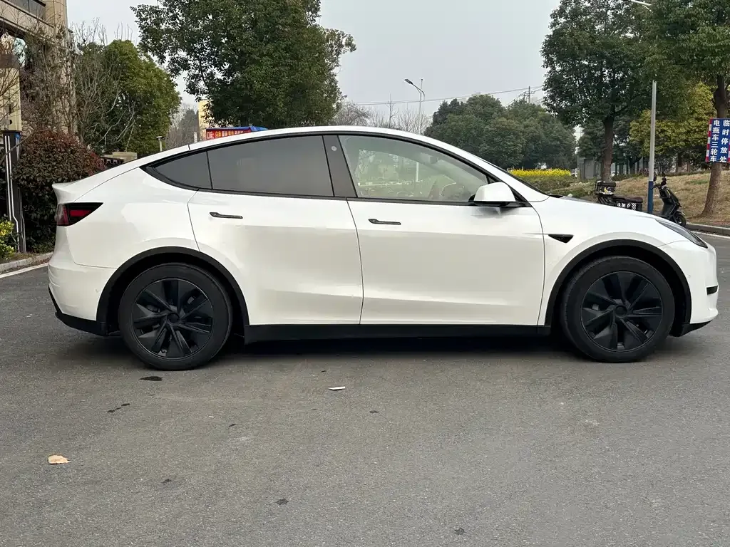 Tesla Model Y — фото 5