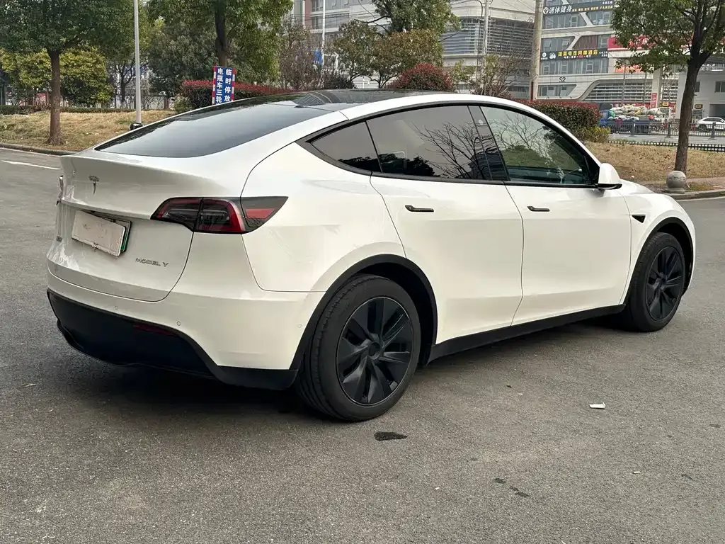 Tesla Model Y — фото 9